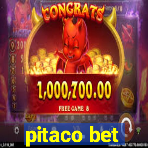 pitaco bet